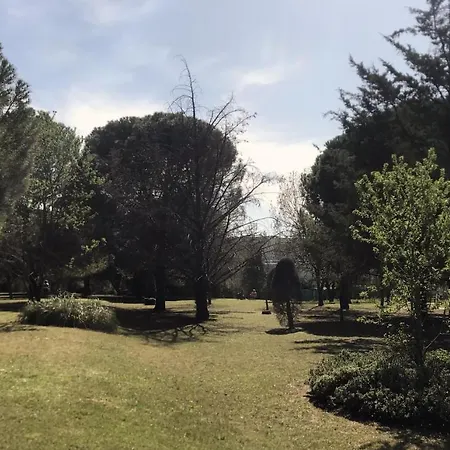 Soleil Et Verdure - Celleneuve *